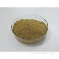 Beta Ecdyterone Powder 95% Suplemento